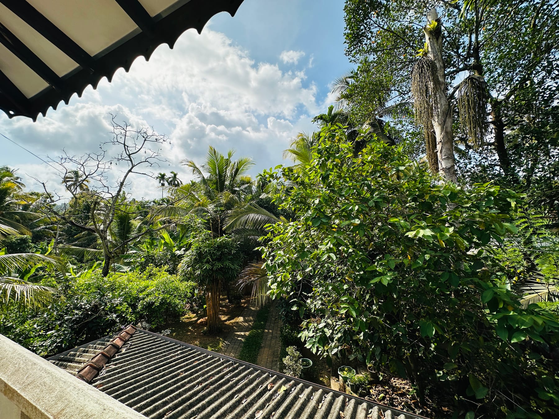 View across the tropical garden from the upper veranda