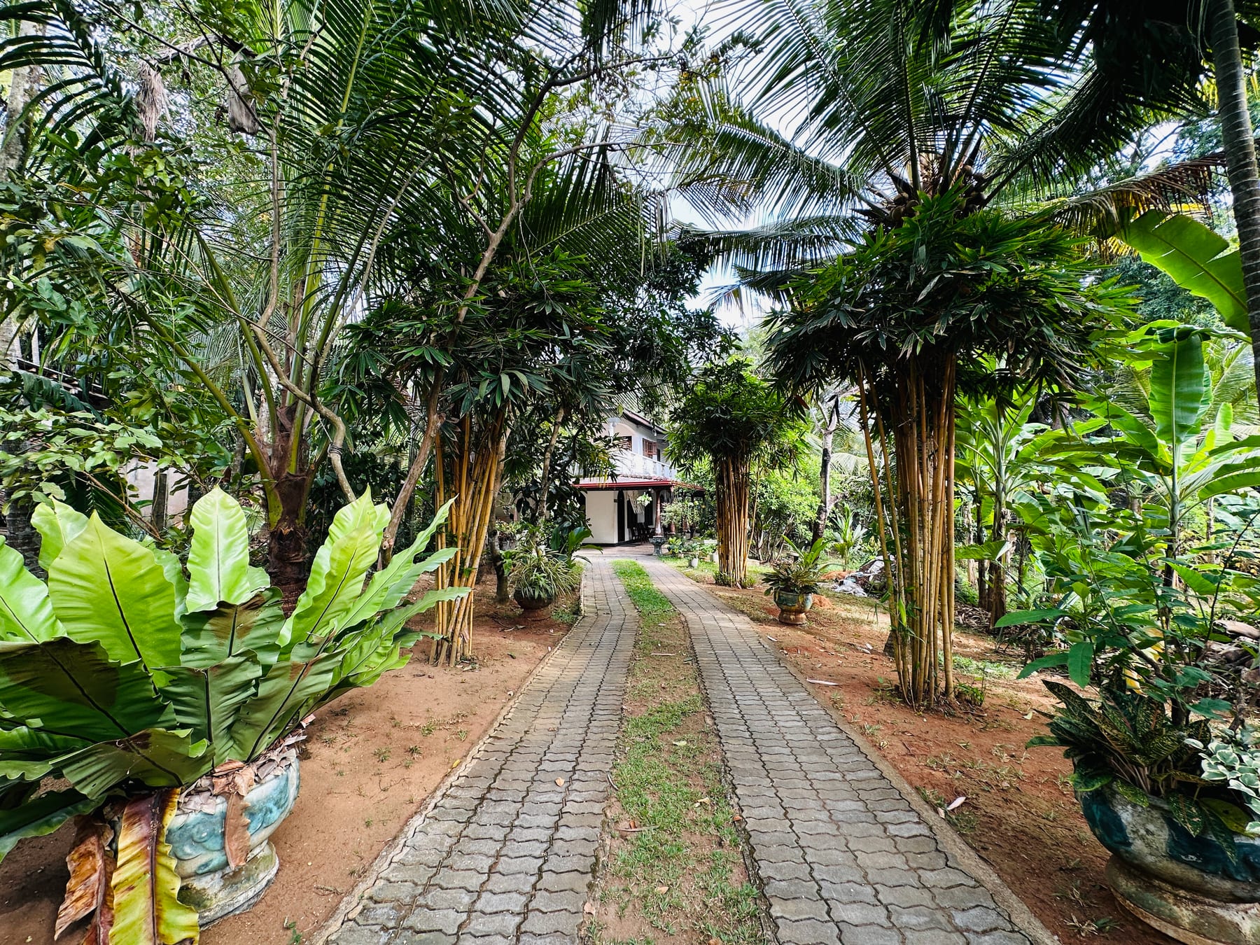 Tropical garden entrance at The Sanctuary homestay