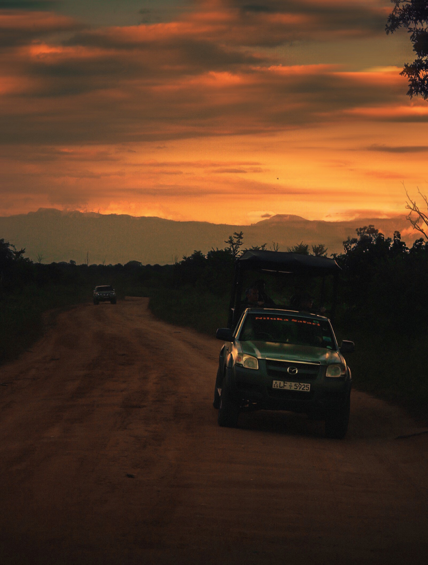 Vehicle travelling on a rural road at sunset