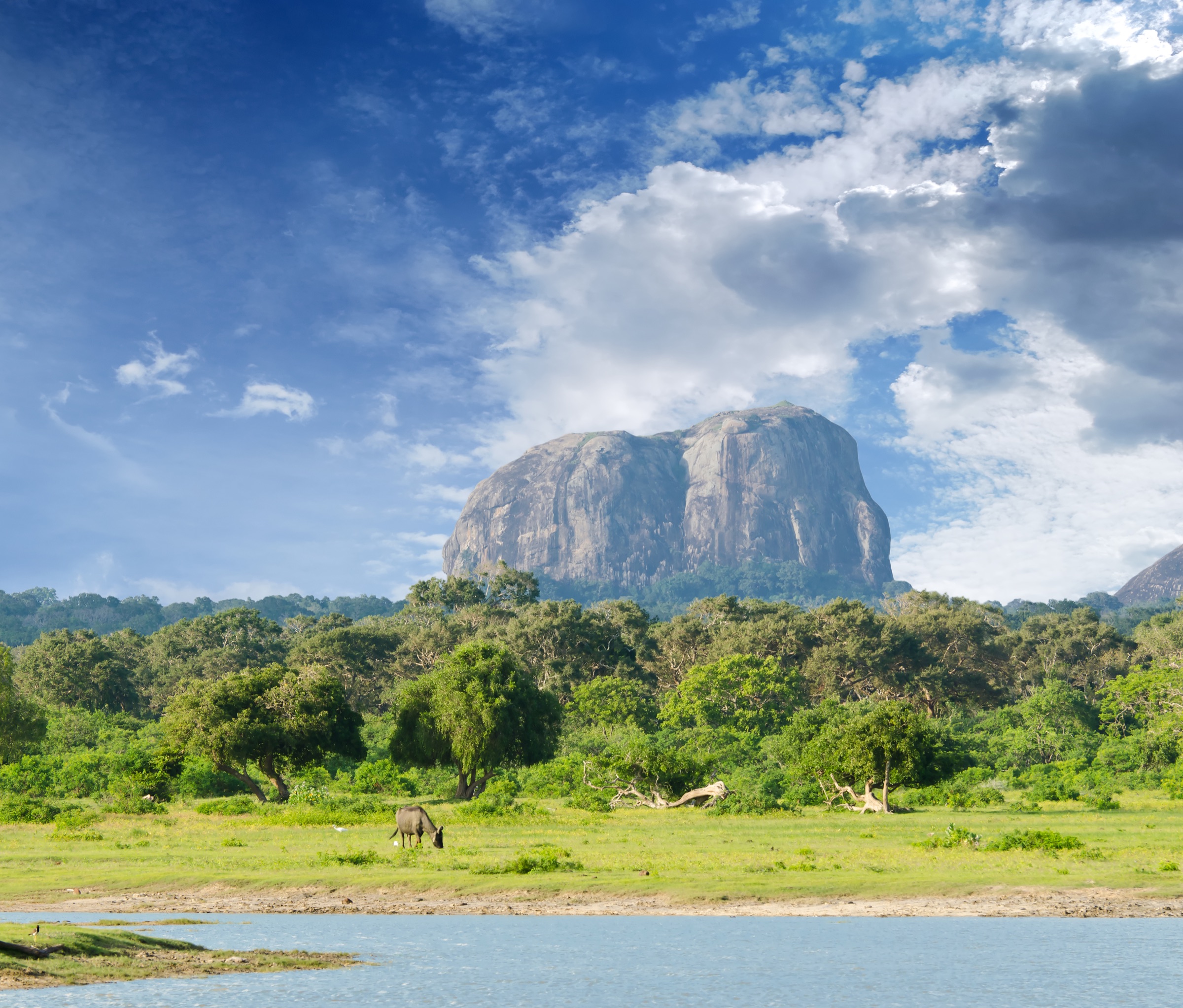 Rock monolith and wildlife landscape in Sri Lanka